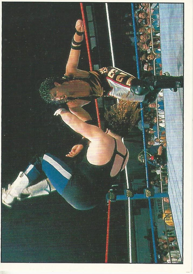 WWF Panini 1995 Sticker Collection 123 Kid #149