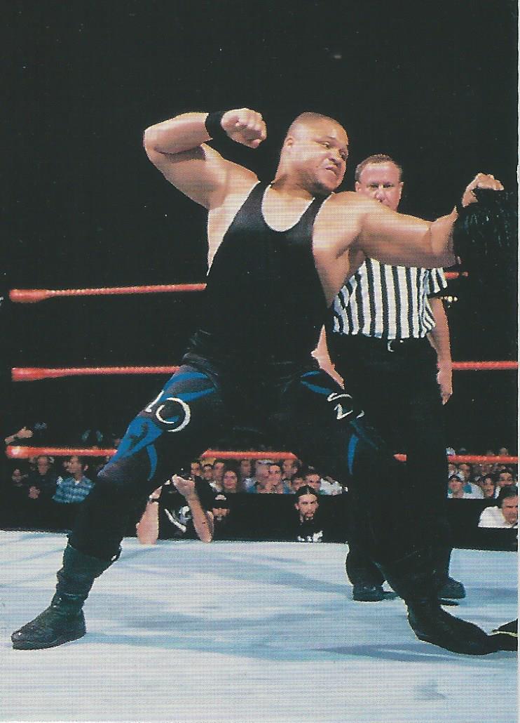 WWF Comic Images Smackdown 1999 D-Lo Brown #14