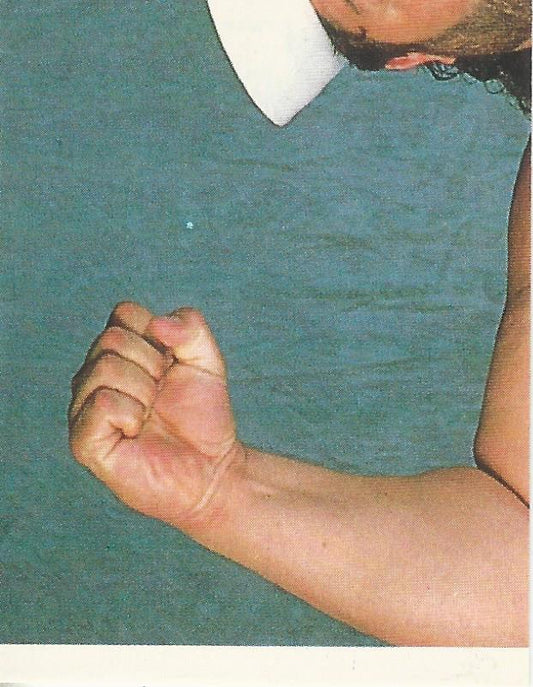 WWF Merlin Sticker Collection 1990 Tugboat #14