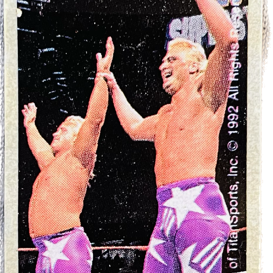 WWF Dunkin Bubble Gum Stickers (1992) No. 14 Beverly Brothers PW Catalog