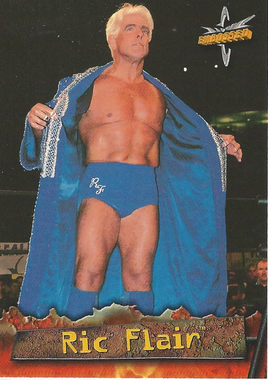 WCW Topps Embossed 1999 Ric Flair #14