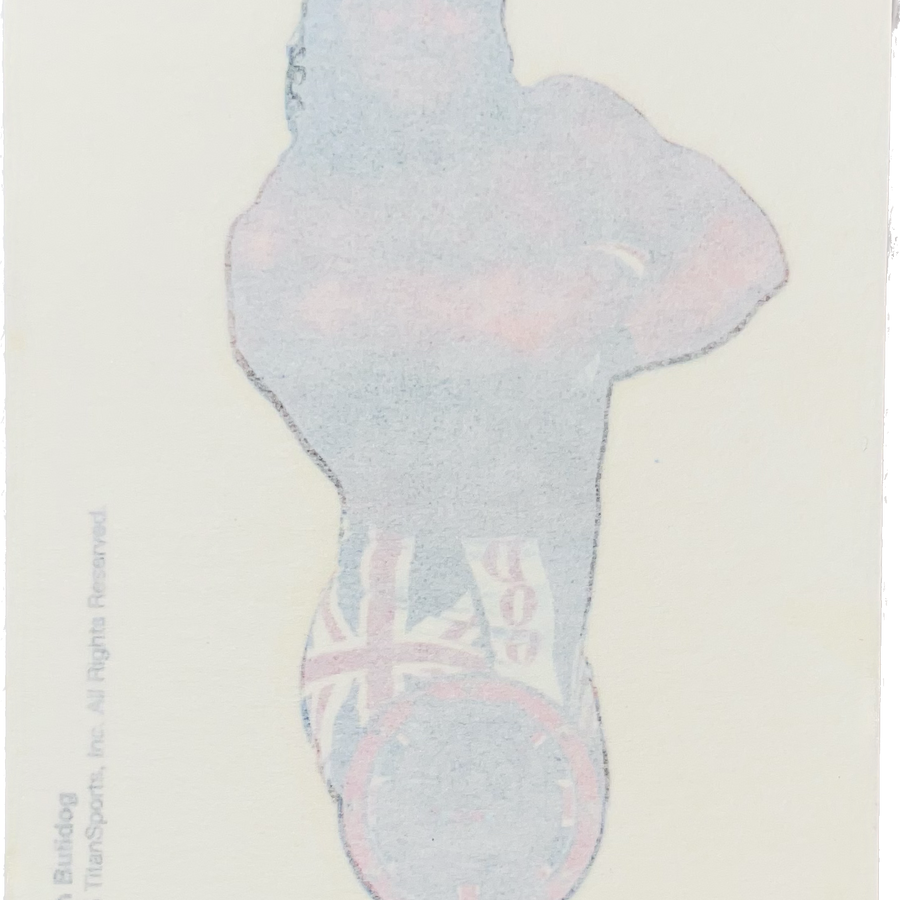WWF Tattoos 1995 British Bulldog from Germany Pwcatalog
