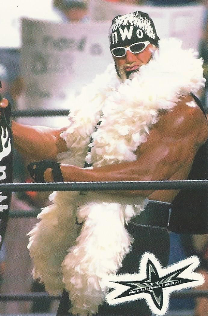 WCW Crazy Planet Stickers 1999 Hulk Hogan trading card PW Catalog