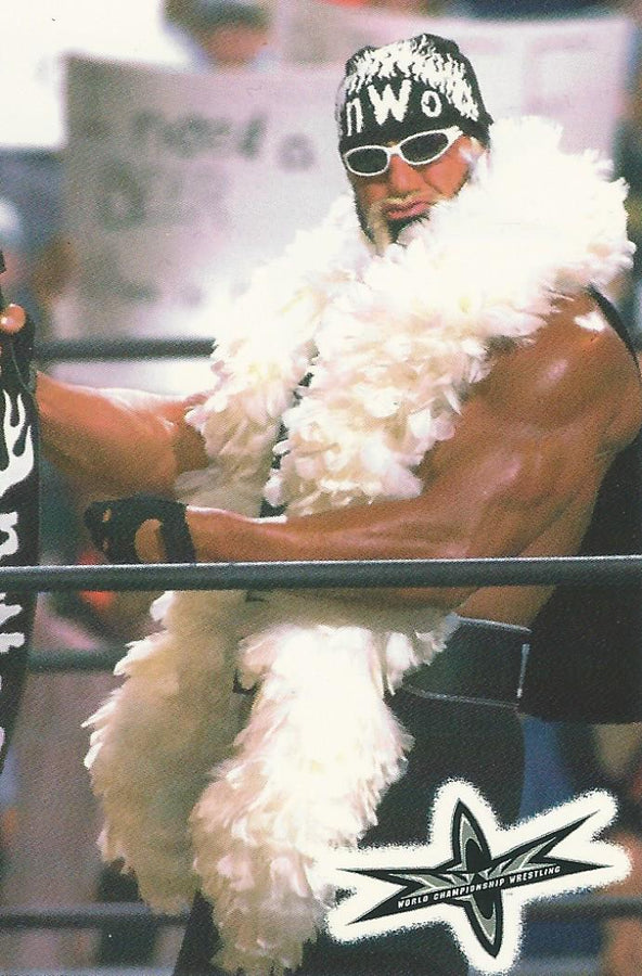 WCW Crazy Planet Stickers 1999 Hulk Hogan trading card PW Catalog
