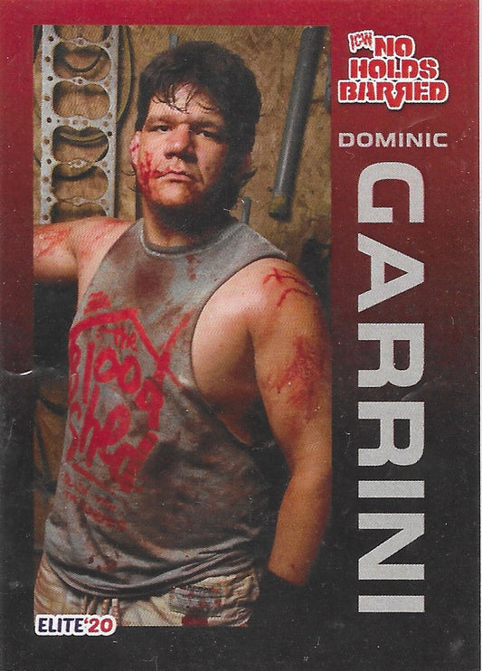 Dominic Garrini