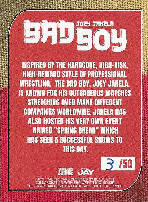 Bad Boy Joey Janela trading card PW Catalog