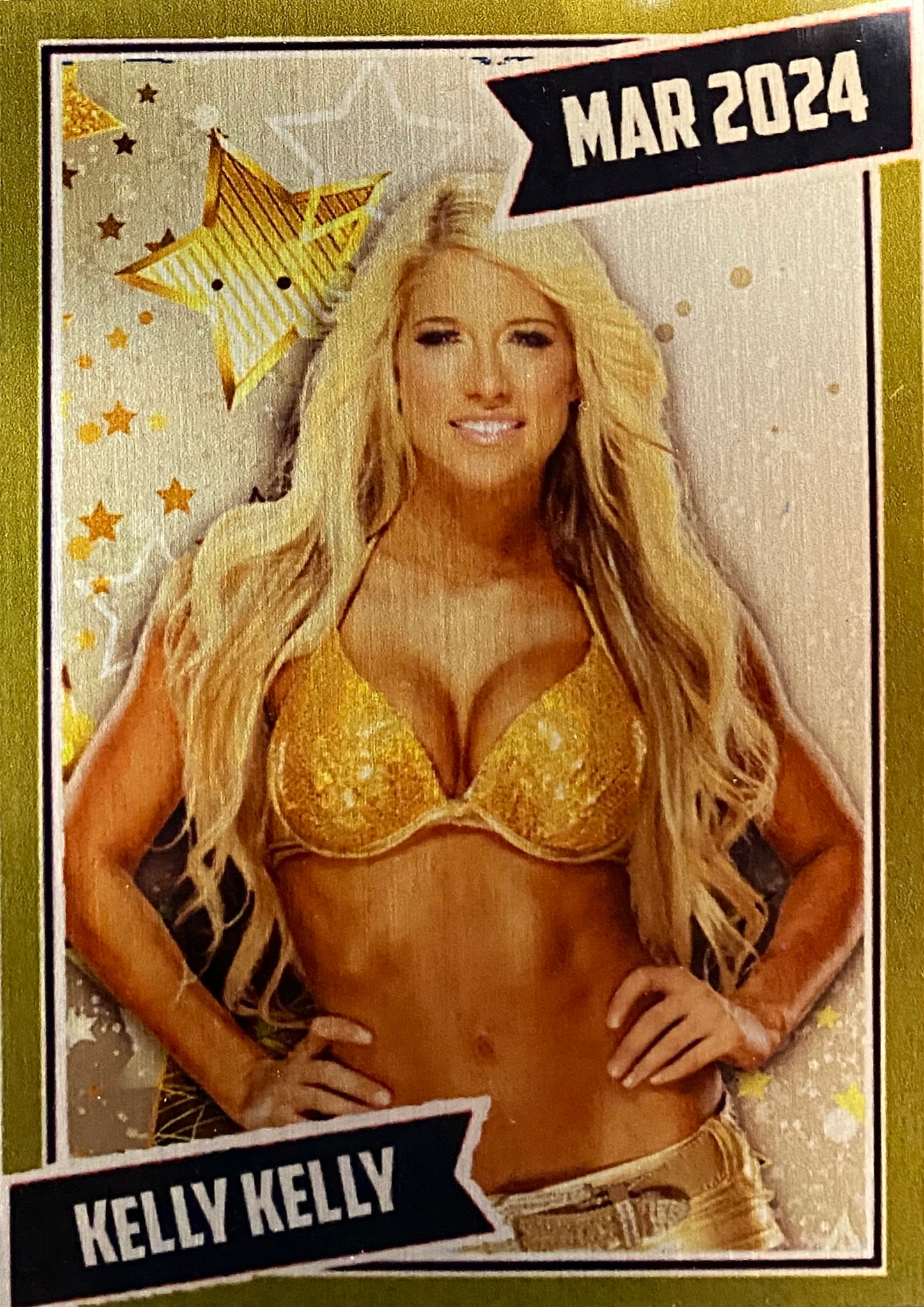 Kelly Kelly trading card PW Catalog