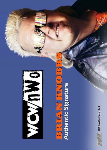 Brian Knobbs – Wcw/nwo