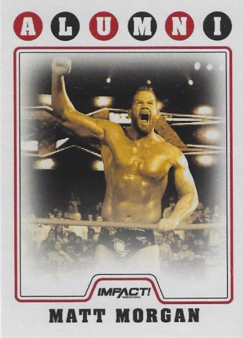 Matt Morgan