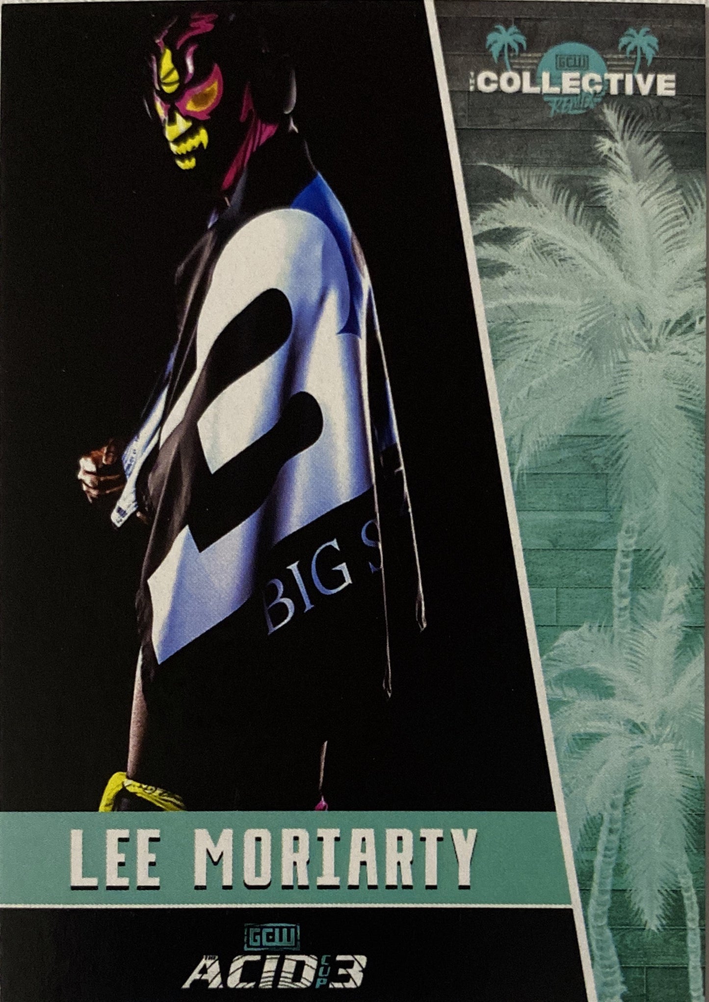 “The Apex of Combat” LEE Moriarty
