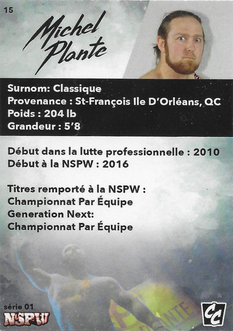 Michel Plante - image 2