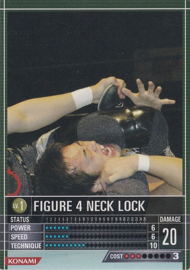 Figure 4 Neck Lock