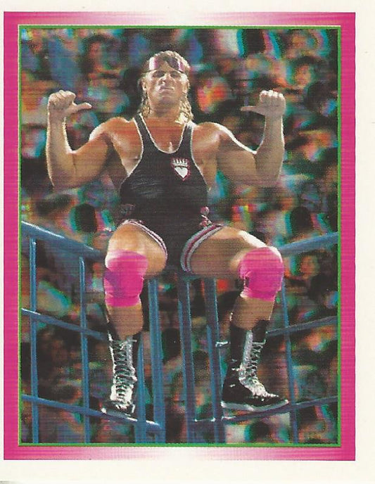 WWF Merlin Stickers 1995 Owen Hart #150