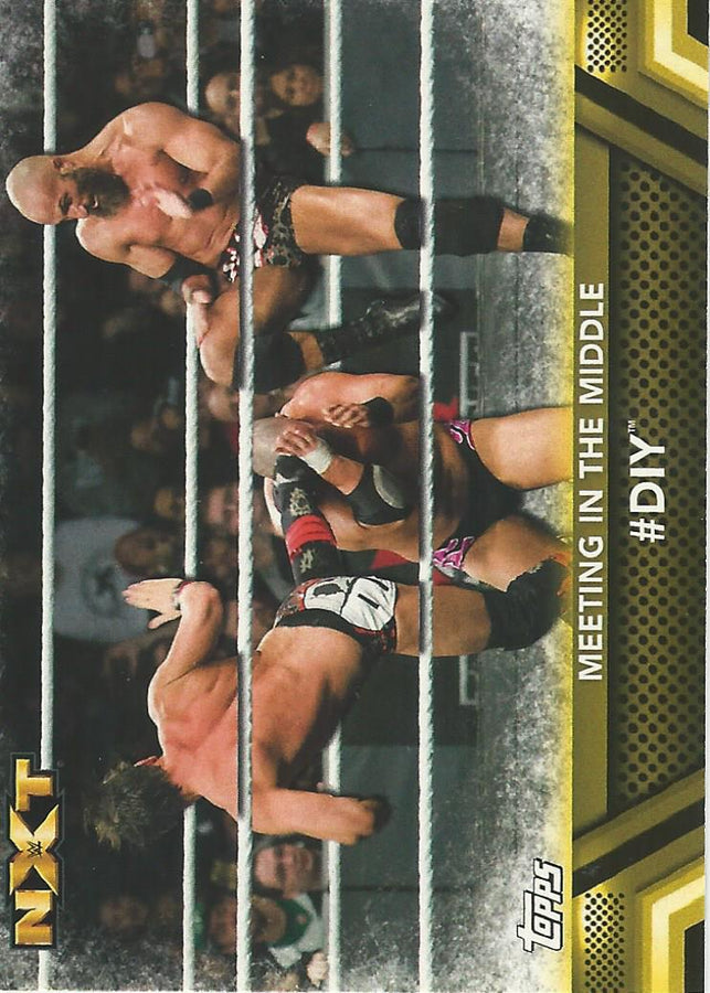WWE Topps Then Now Forever 2017 DIY #F50
