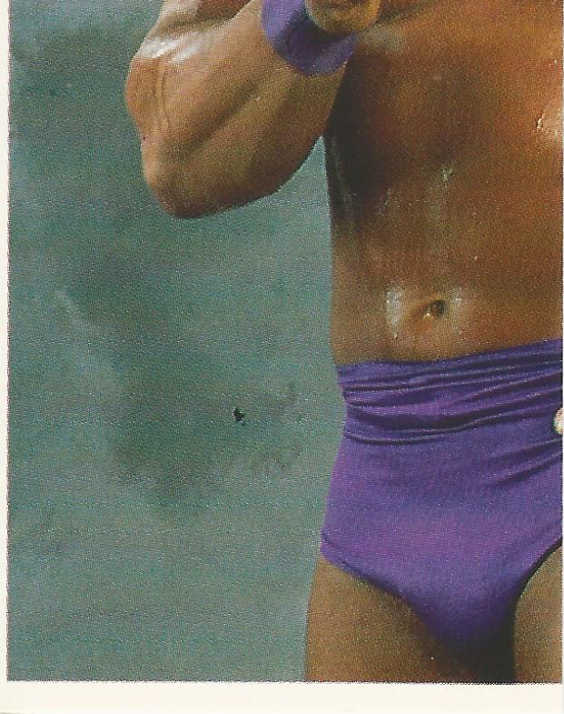 WWF Merlin Stickers 1991 Texas Tornado #150