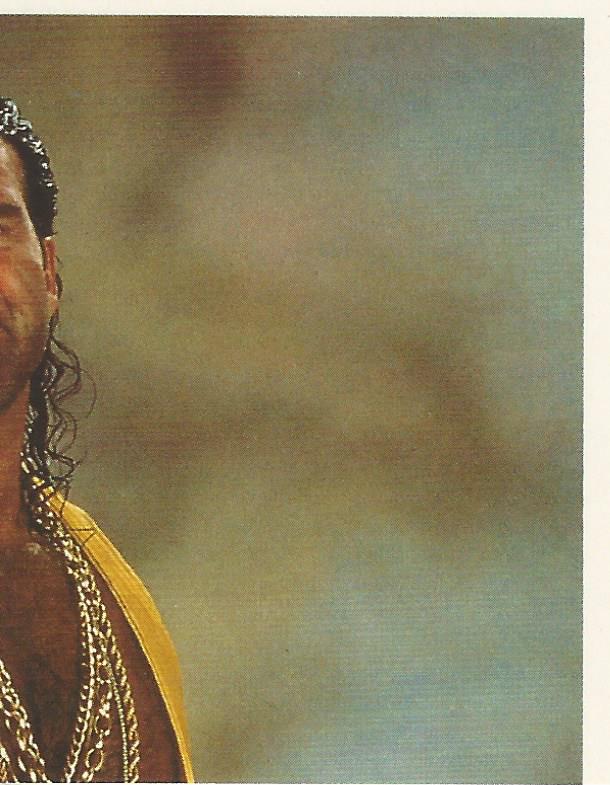 WWF Merlin Stickers 1992 Razor Ramon #151