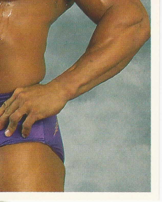 WWF Merlin Stickers 1991 Texas Tornado #151