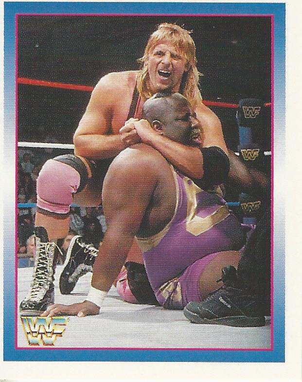 WWF Merlin Stickers 1995 Owen Hart #151