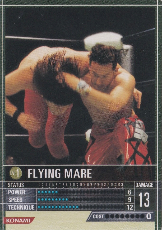 Flying Mare