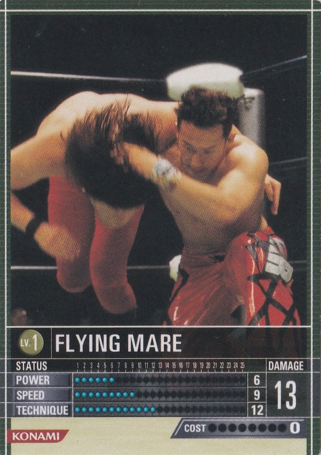 Flying Mare