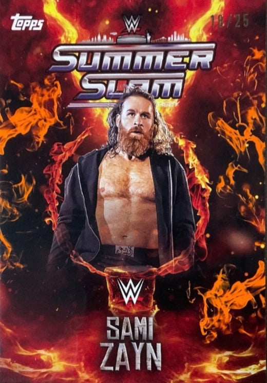 Sami Zayn