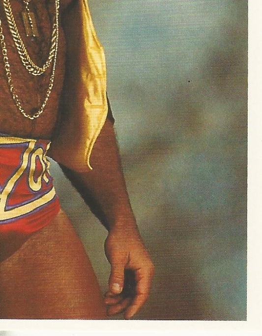 WWF Merlin Stickers 1992 Razor Ramon #153