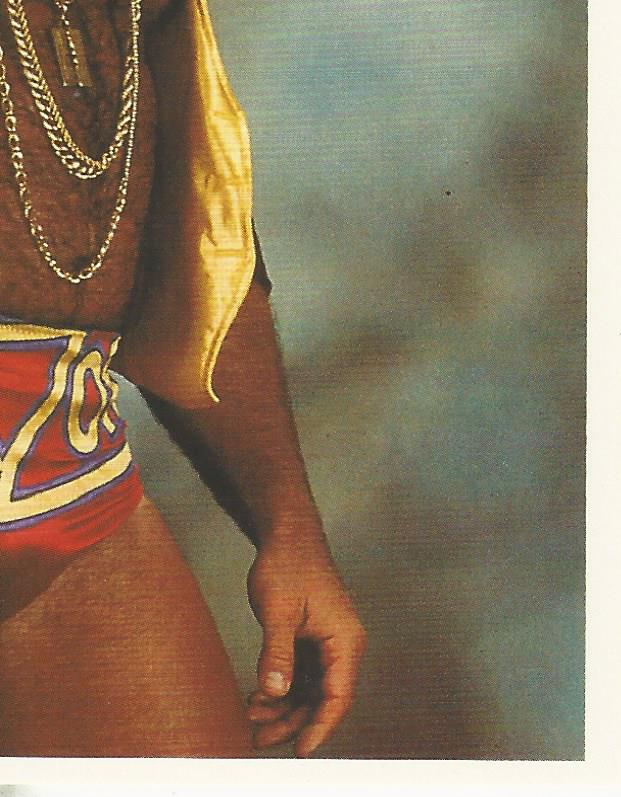 WWF Merlin Stickers 1992 Razor Ramon #153