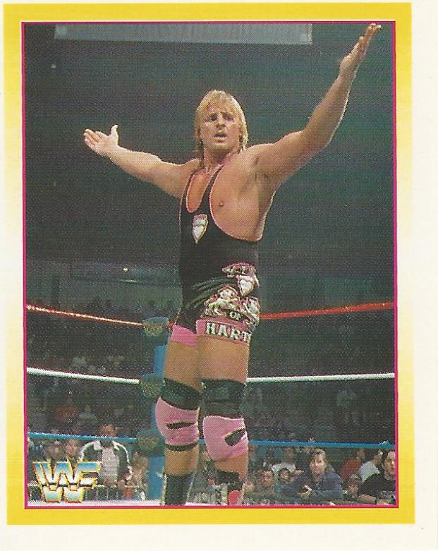 WWF Merlin Stickers 1995 Owen Hart #153