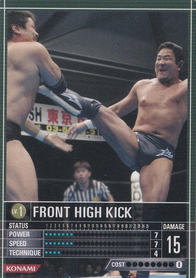 Front High Kick