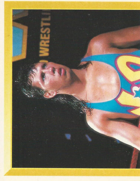 WWF Merlin Sticker 1994 123 Kid #154