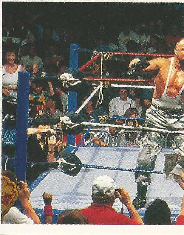 WWF Merlin Stickers 1991 Bushwhackers #154