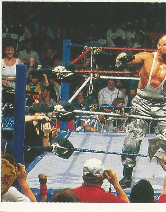 WWF Merlin Stickers 1991 Bushwhackers #154