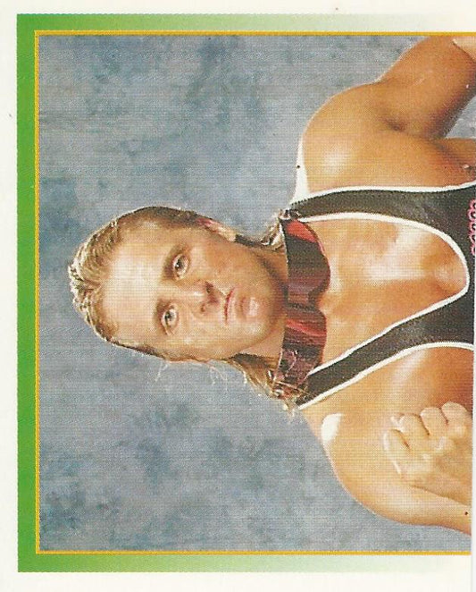 WWF Merlin Stickers 1995 Owen Hart #154
