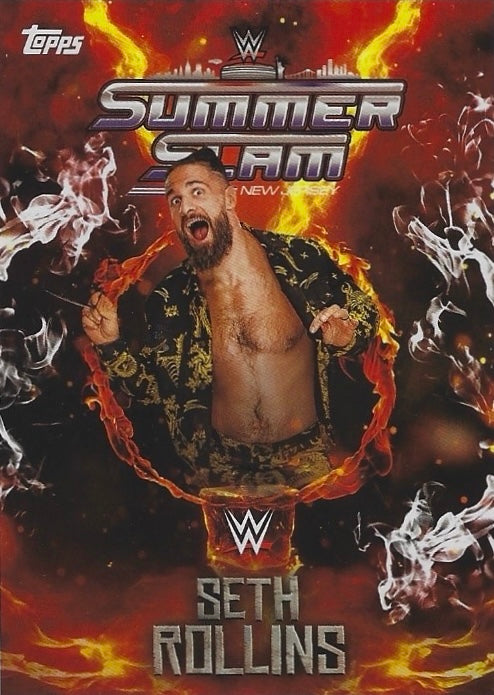 Seth Rollins trading card PW Catalog