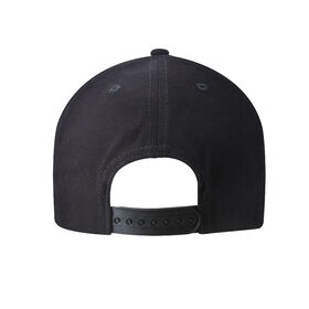 Seth Rollins "Ignite the Will" Snapback Hat