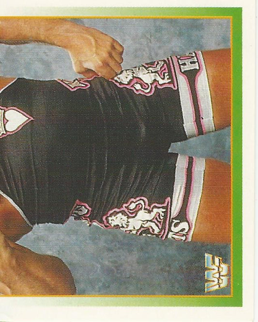 WWF Merlin Stickers 1995 Owen Hart #155