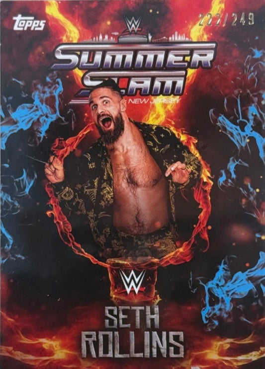 Seth Rollins trading card PW Catalog