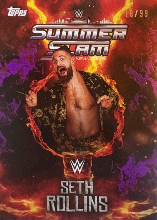 Seth Rollins trading card PW Catalog