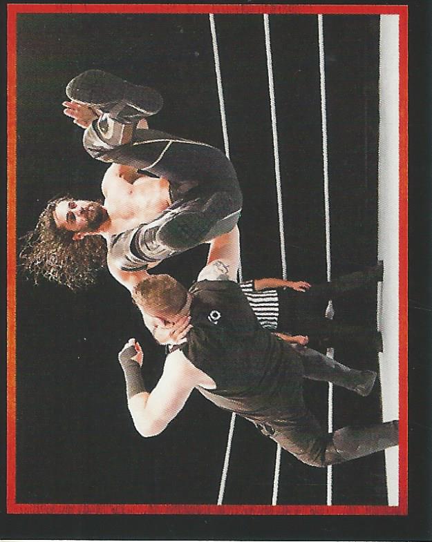 WWE Topps Stickers 2017 Seth Rollins #224