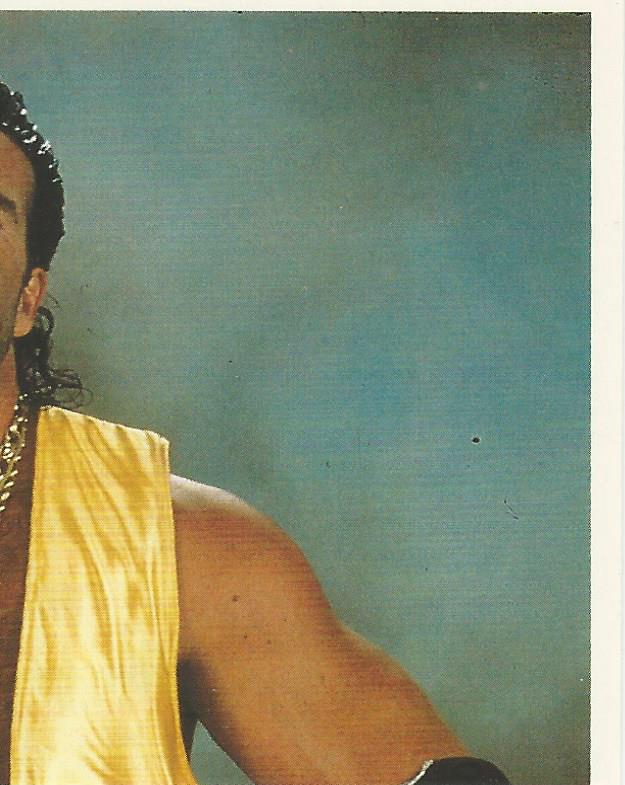 WWF Merlin Stickers 1992 Razor Ramon #158