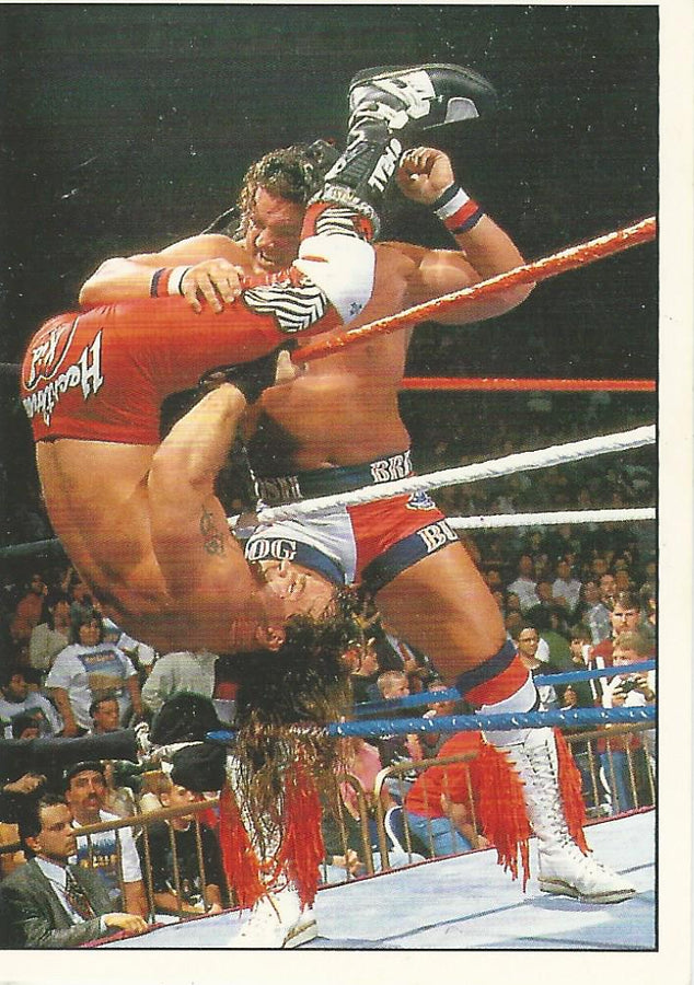 WWF Panini 1995 Sticker Collection British Bulldog #158