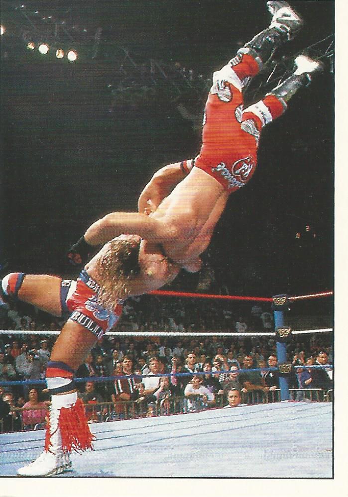 WWF Panini 1995 Sticker Collection British Bulldog #159