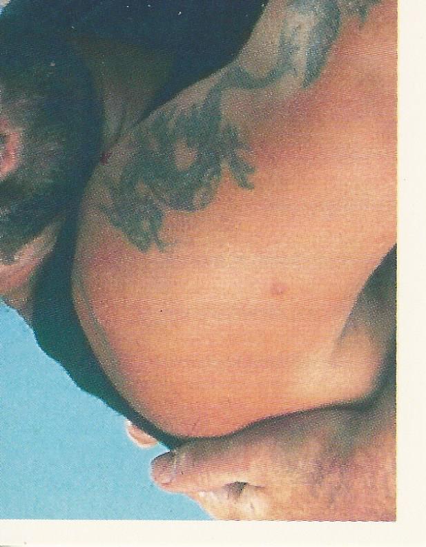 WWF Merlin Stickers 1991 Bushwhackers #159