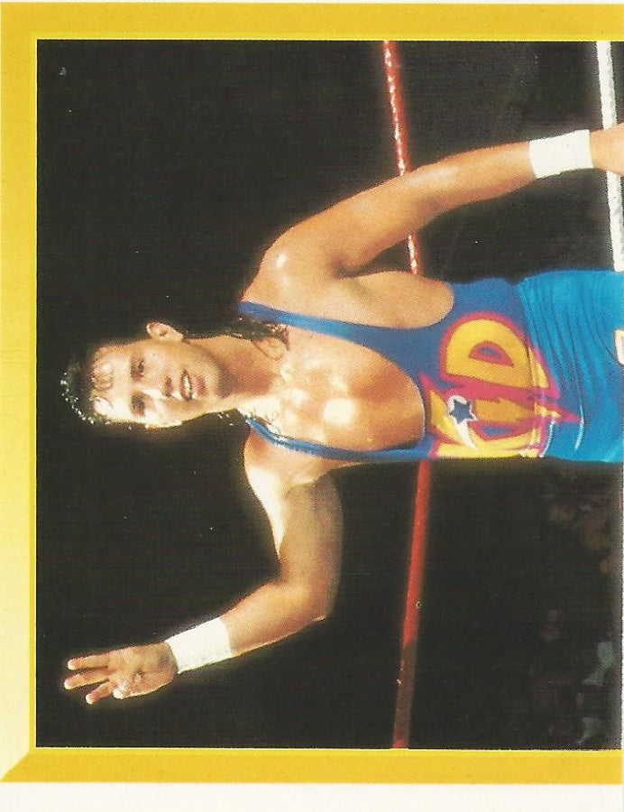WWF Merlin Sticker 1994 123 Kid #159