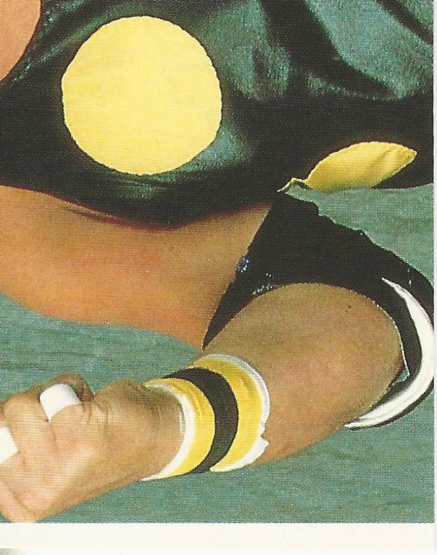 WWF Merlin Sticker Collection 1990 Dusty Rhodes #159