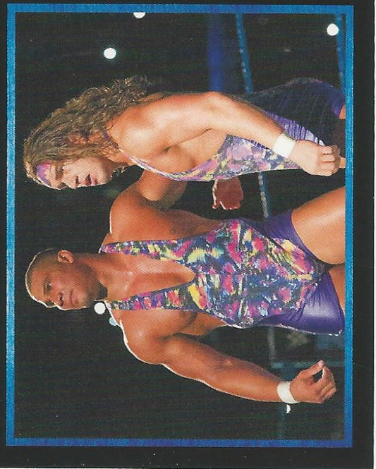 WWE Topps Stickers 2017 Chad Gable and Jason Jordan #15