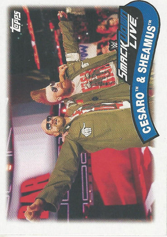 WWE Topps Heritage 2018 Trading Cadrs Sheamus and Cesaro TT-1 trading card PW Catalog