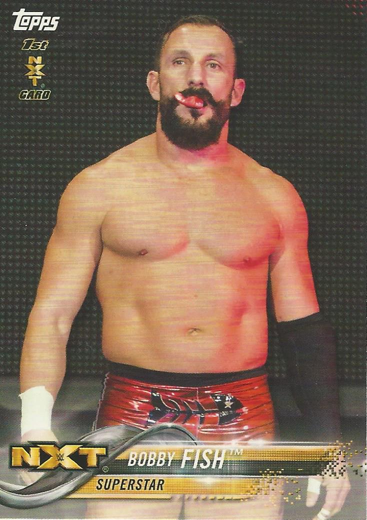 WWE Topps 2018 Bobby Fish #15