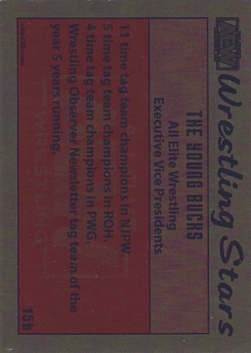 The Young Bucks - image 2