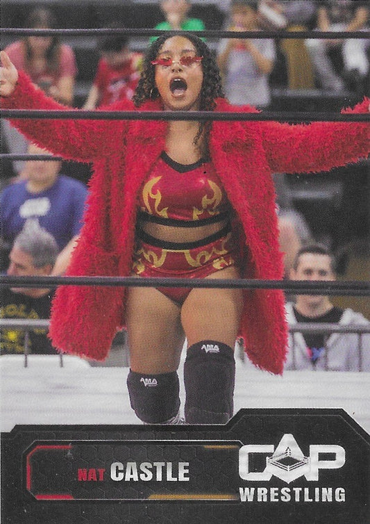 NAT Castle trading card PWcatalog